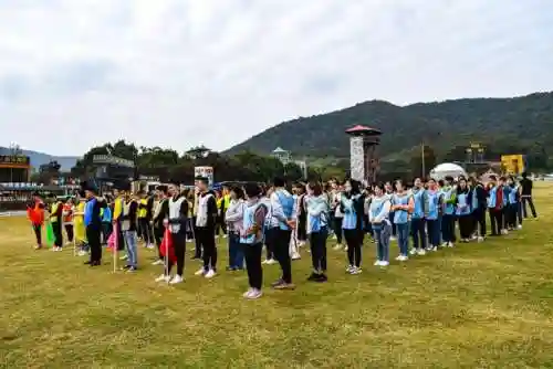 疯狂过山车手游推荐阵容(过山车手机游戏)插图1