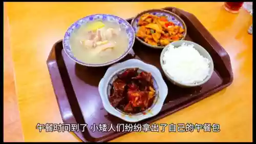 精灵姐姐手游推荐阵容(精灵宝贝平民最强阵容)