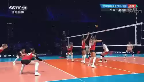 中国比利时女排阵容(奥运女排八强对阵)插图4