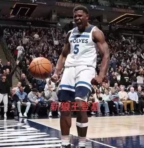老狼王阵容(闪烁之光狼王怎么配阵容)插图3 老狼王阵容(闪烁之光狼王怎么配阵容)插图3