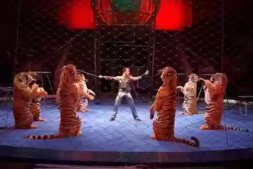 惠州皇家大马戏阵容(皇家大马戏全国巡演)插图2