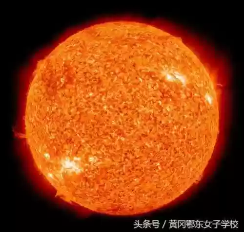 太阳阵容易(宝可梦t0阵容)