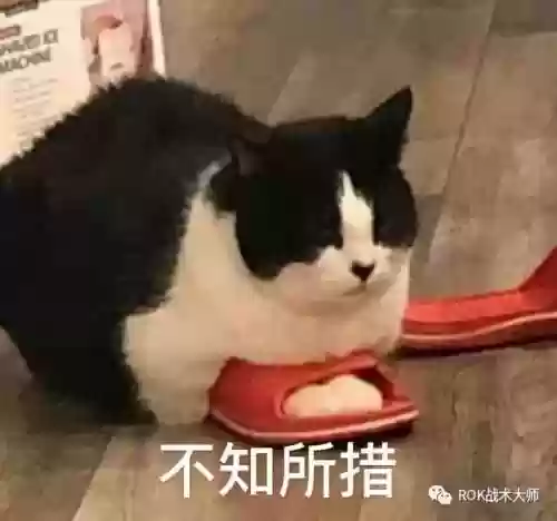 万国劫掠者怎么搭配阵容(万国觉醒后期最强阵容)插图17