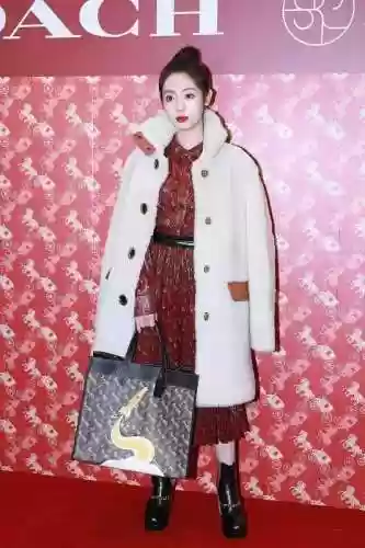 过年明艳阵容(福星阵容都有谁)插图9
