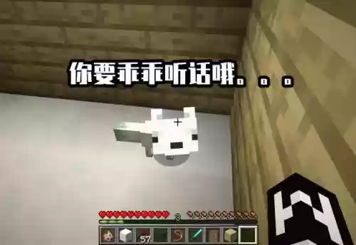 我的世界狐狸怎么驯服(我的世界驯服宠物大全表)插图5