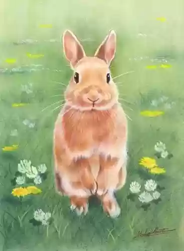 卡通兔子图片(小兔子的简笔画)插图9