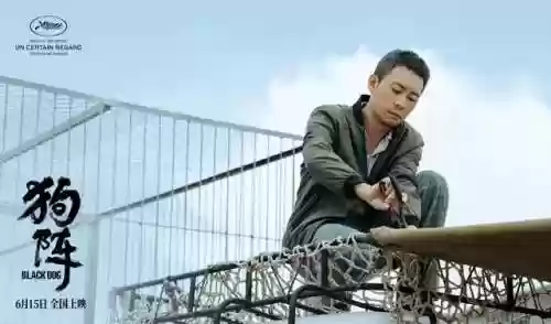 影片阵容豪华(明星阵容最豪华的电影)插图1