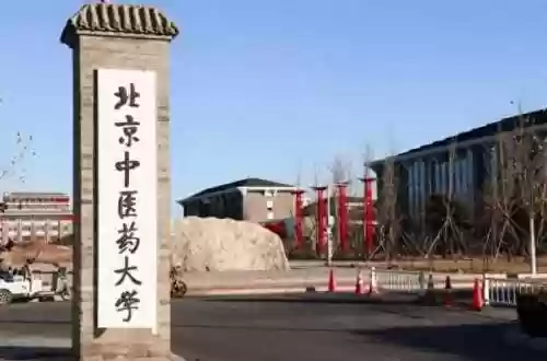 北京大学教师阵容名单(北京大学教师名单)