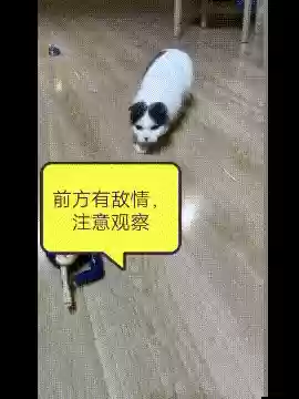 千年杀游戏(千年杀剪刀石头布在线玩)插图7