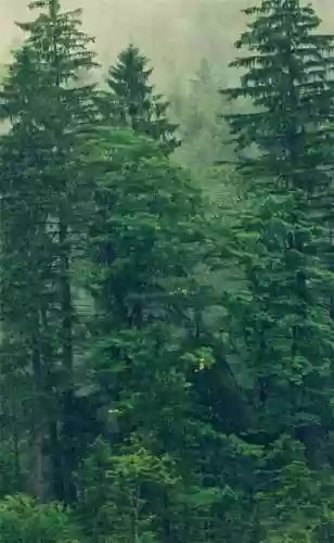 精美壁纸手机高清图片(精美壁纸动漫 二次元男生帅气)插图5