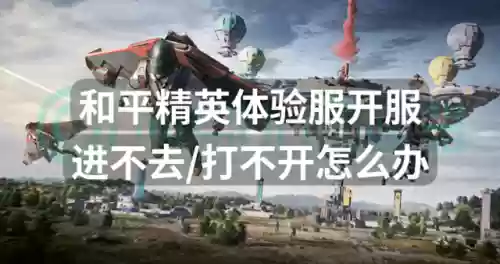 和平精英体验服最新版(和平精英24小时人工客服)
