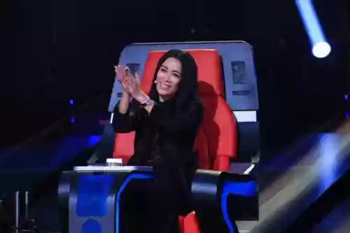原定好声音导师阵容(中国好声音有哪些导师)插图6