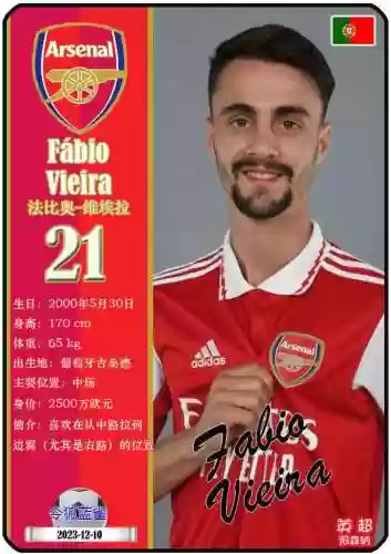 阿森纳阵容2023最新阵容(阿森纳新门将首个赛季即成最佳)插图7 阿森纳阵容2023最新阵容(阿森纳新门将首个赛季即成最佳)插图7
