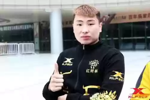全国十强战队赛阵容图(王者荣耀目前最强的战队)插图2
