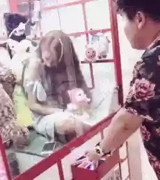 新还珠格格演员阵容宣传片(新还珠格格全部演员)插图8 新还珠格格演员阵容宣传片(新还珠格格全部演员)插图8