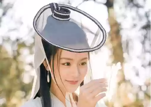 云顶之弈独斗阵容(云顶之弈斗法海给什么装备)插图43
