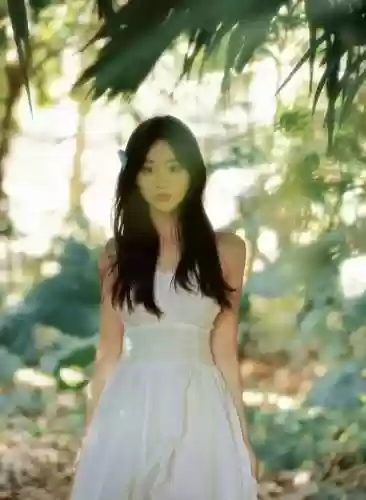 遮天阵容和完美阵容的区别(完美与遮天的等级比较)插图10