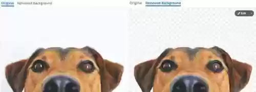 图片编辑软件哪个好(图片编辑器免费版)插图25
