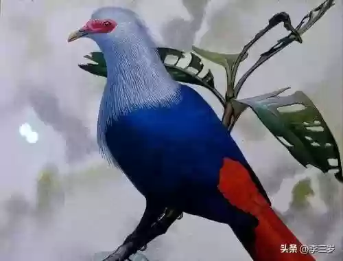 动物大作战无敌阵容(动物战争模拟器辅助菜单最新版)插图14
