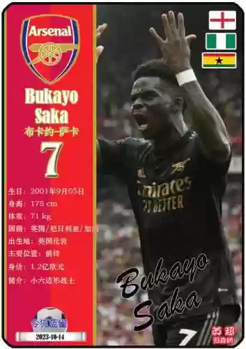 阿森纳阵容2023最新阵容(阿森纳新门将首个赛季即成最佳)插图4 阿森纳阵容2023最新阵容(阿森纳新门将首个赛季即成最佳)插图4