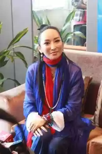 民族风阵容(风主平民最强阵容搭配)插图20