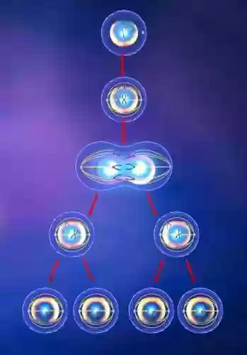 斗罗大陆手游唐三试炼阵容(斗罗大陆平民最强阵容)插图3