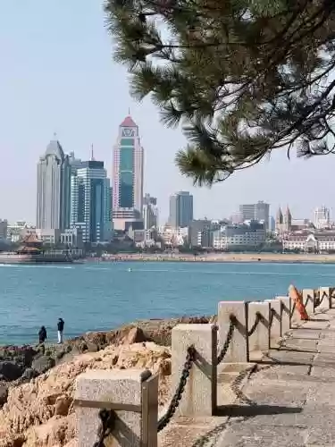 青岛拼盘阵容(拼盘大全)插图2