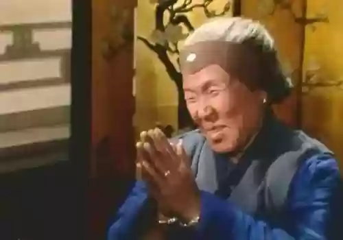 神仙阵容赵丽蓉(天龙八部3d美人搭配最新阵容)插图9
