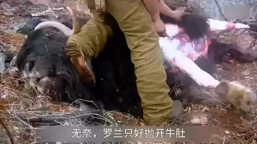 生存挑战一刀流阵容搭配(地牢求生阵容搭配)插图2
