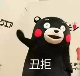 越南最丑阵容(越南最丑网红整容)插图3