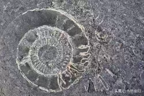 北大巅峰阵容(北大最厉害的三个班)插图9