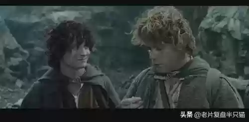 魔戒阿拉贡为什么死了(魔戒甘道夫死了没)插图47