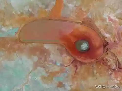 昆仑山恶魔之眼(恶魔之眼艾肯泉真实故事)插图1