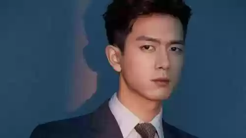 荣耀夫妇阵容(荣耀崛起最佳五星阵容)插图2