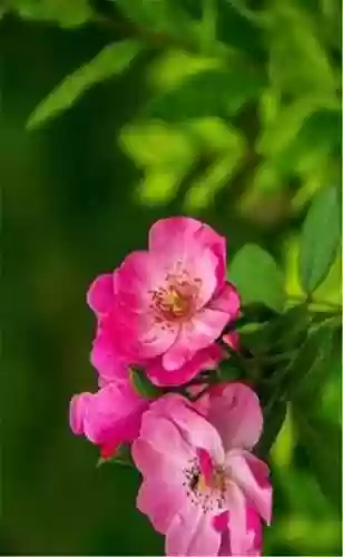 精美壁纸手机高清图片(精美壁纸动漫 二次元男生帅气)插图94