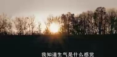 哔哩哔哩晚上一个人看(哔哩哔哩怎样看到有几个人在看)插图3 哔哩哔哩晚上一个人看(哔哩哔哩怎样看到有几个人在看)插图3