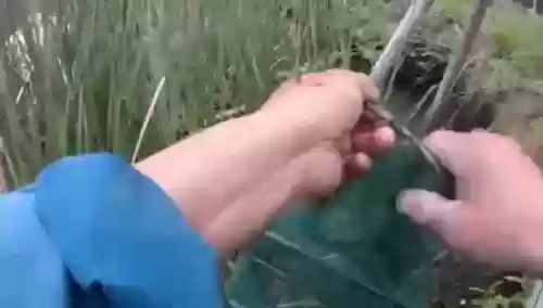 老版捕鱼达人1(捕鱼达人4安卓版下载)