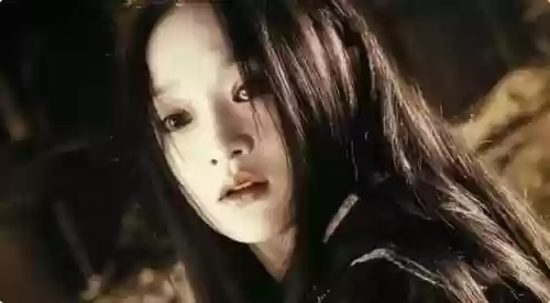 画皮阵容介绍(画皮是什么妖怪)插图3
