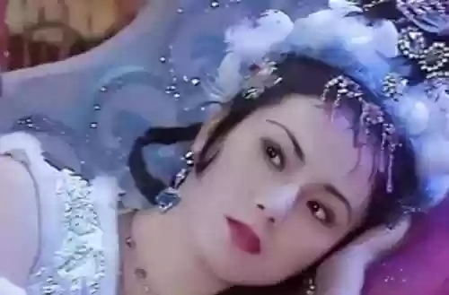 白面狐阵容(太白伙伴阵容用哪几个)