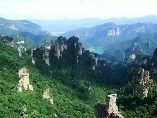 十大好看手机壁纸(壁纸app排行榜前十名)插图9