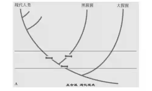 无限世界进化史(无限恐怖之新的崛起)插图5