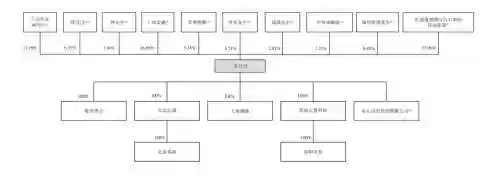 蚂蚁上市阵容(蚂蚁金服上市了没有)插图1