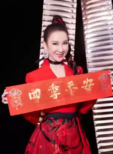 春晚阵容衣服(春节联欢晚会同款衣服图片)插图33