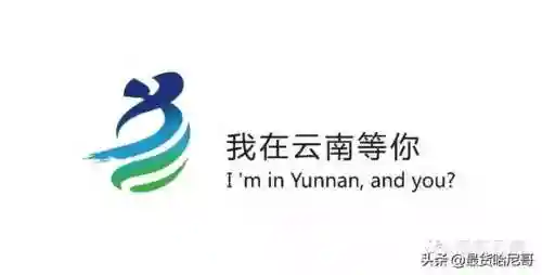2019泸西最佳阵容(桑巴军团最强阵容)插图6