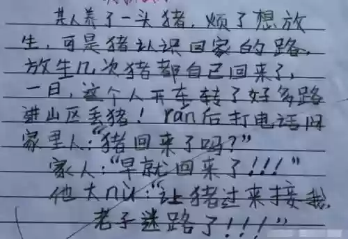 自己安慰看的短文(自我安抚小花园作文)插图8