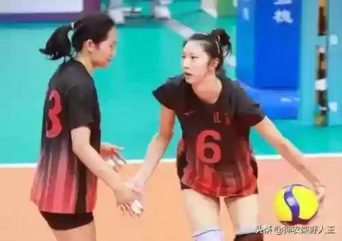 野人王阵容(王者猎人阵容推荐)