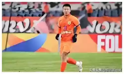 中超申花最佳阵容阵容分布(中超23轮最佳阵容)插图4