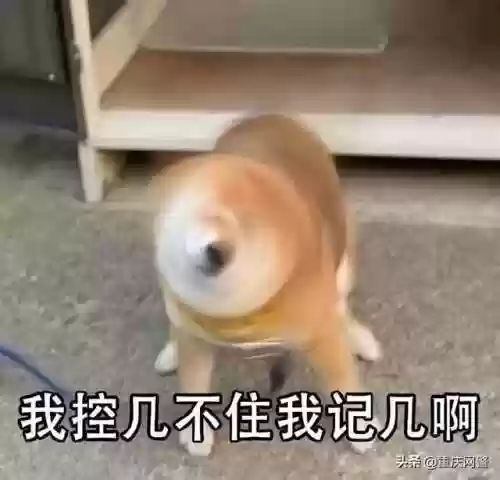 炮约哪个软件是真的2022(上门服务24小时接单)