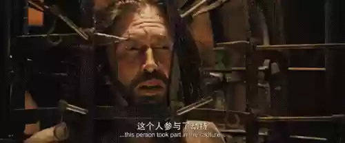 精灵巫师阵容(精灵训练师阵容搭配)插图1