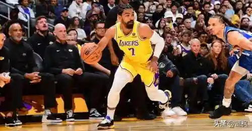全面了解湖人新阵容阵容(nba19至20赛季湖人最新阵容)插图3